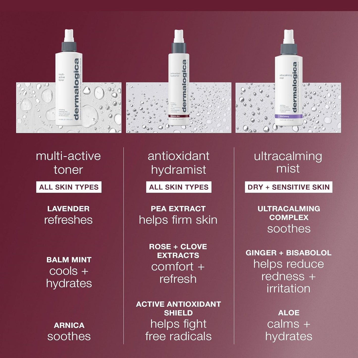 Dermalogica Antioxidant Hydramist Toner Anti-Aging Toner Spray for Face that helps Firm and Hydrate Skin - For Use Throughout the Day